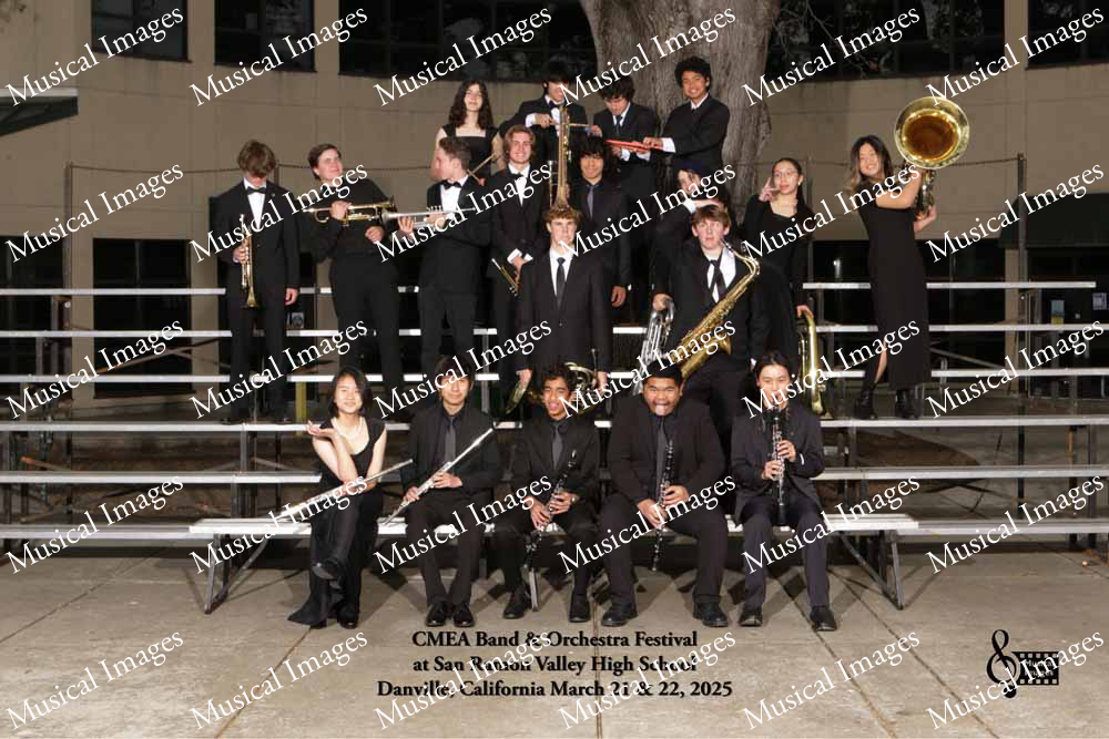 Musical Images